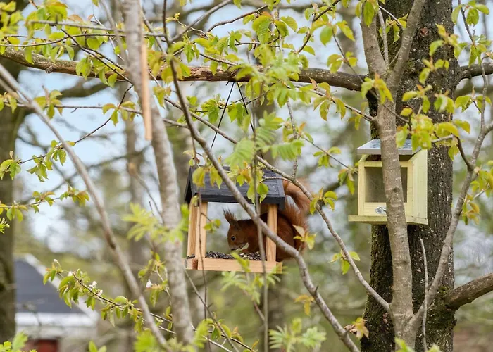 Kea - 30km From The Sea By Interhome Ferienhaus